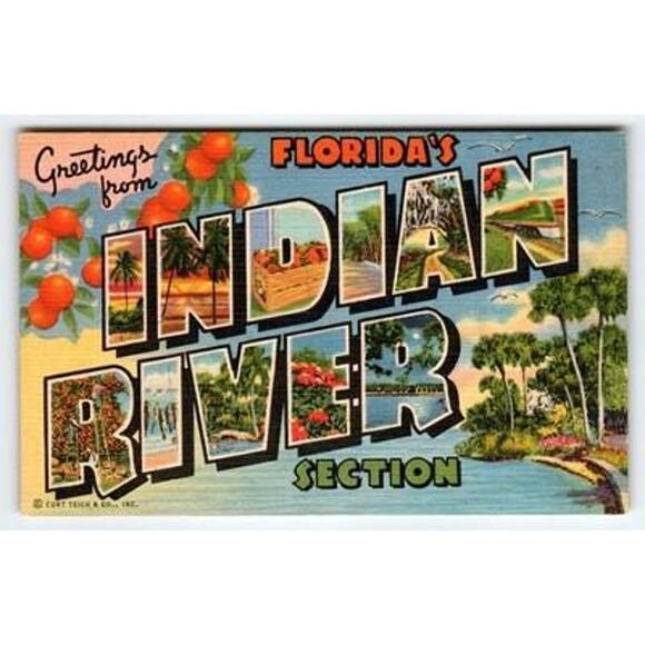 Vintage Curt Teich Linen "Greetings from Indian River Section" Florida Postcard - Picture 1 of 2